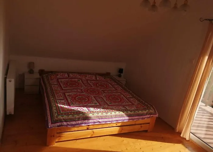 Domek Sasino 펜션 *